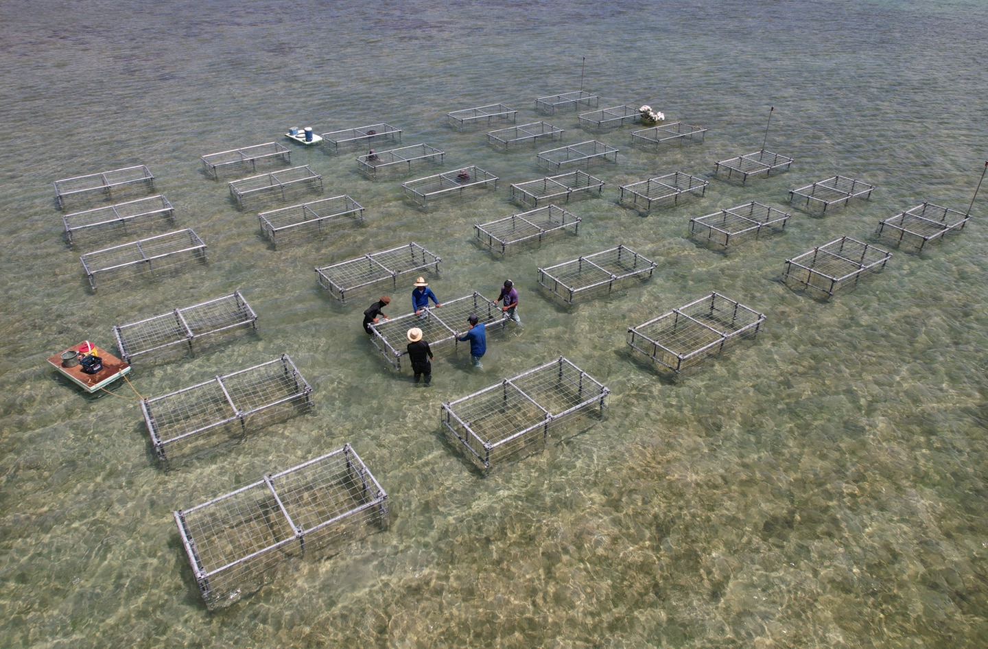 Fences being installed off Takana Beach, Iriomote Island